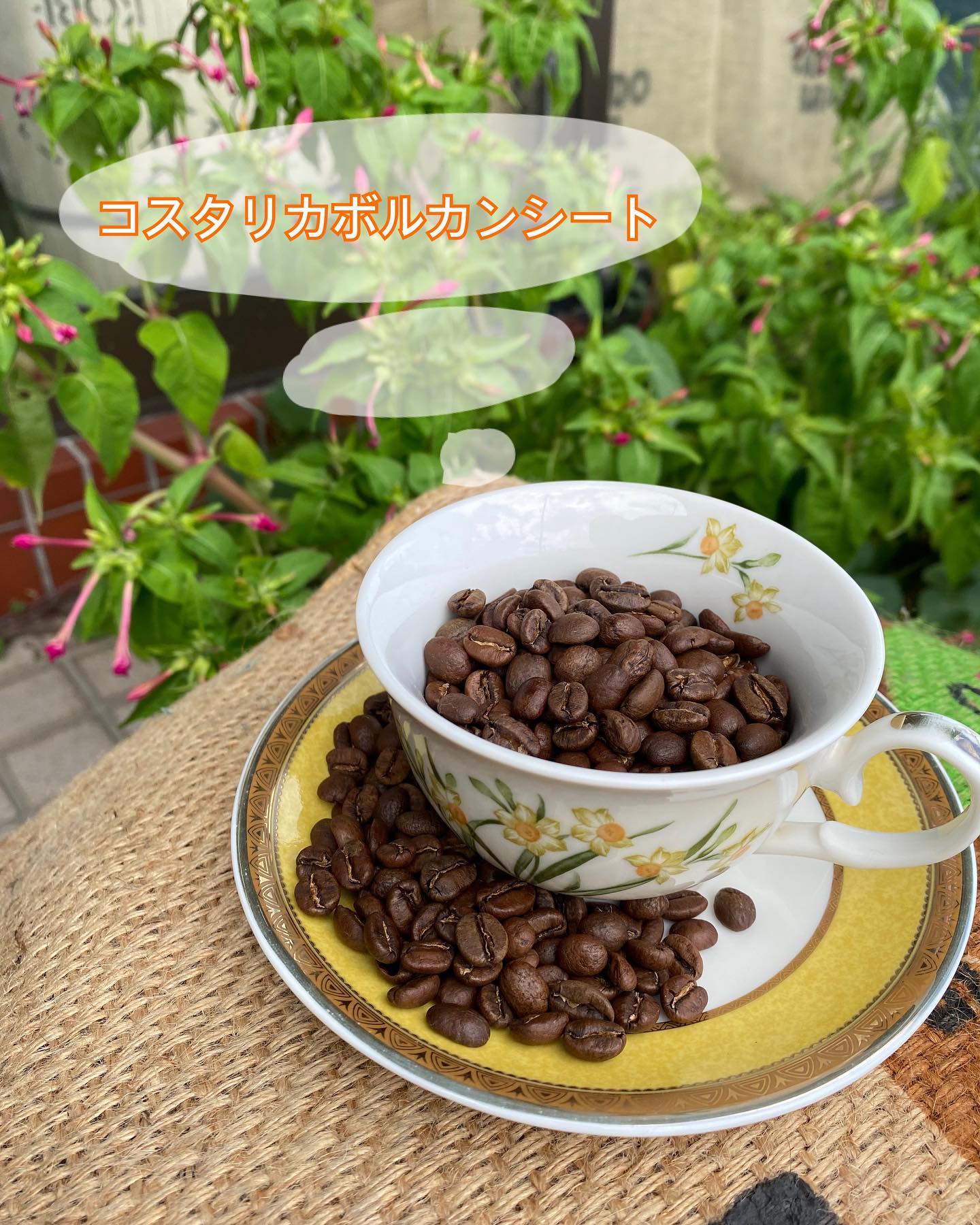 おすすめ珈琲 – 自家焙煎コーヒー豆専門店 有限会社とみかわ